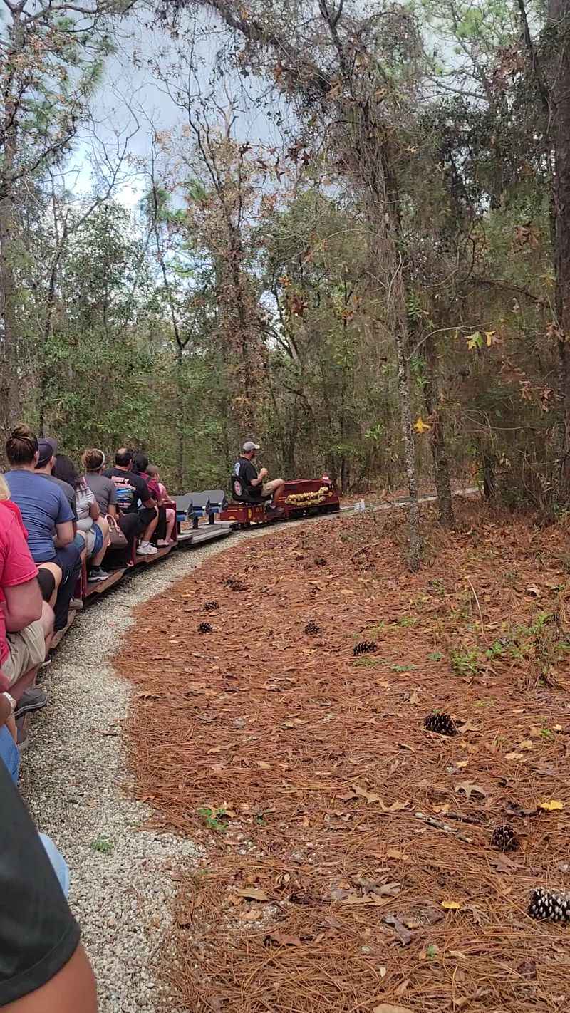 9 Scenic Train Rides In Florida That Feel Like A Fairytale - Decor Hint Central Pasco And Gulf Railroad
