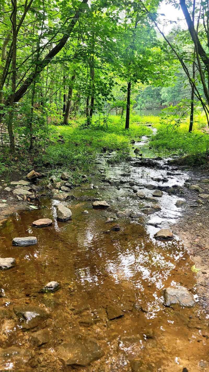 These Strange Forgotten Ruins In Georgia Are One Of The Biggest Hidden Secrets In The South - Decor Hint Sibley Pond, The Quiet Detour