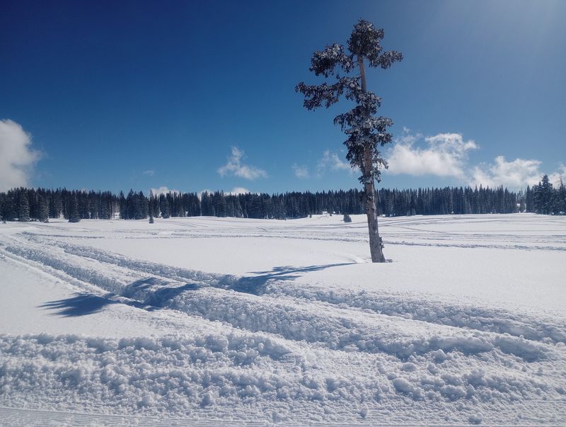 Winter Turns Up The Volume