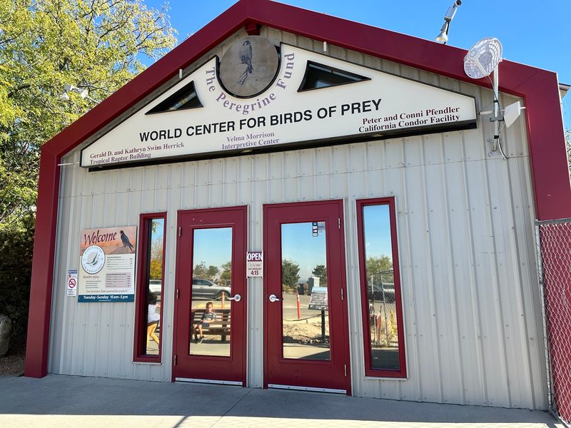 A Gift Shop Where Every Purchase Gives Back