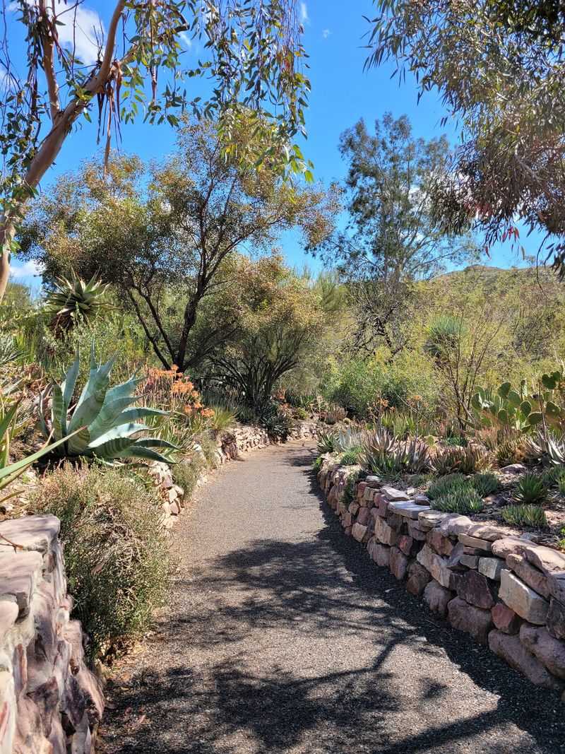 This Hidden Arizona Arboretum Packs 323 Acres With Desert Trails And Incredible Scenery - Decor Hint Cacti, Aloes, And Towering Eucalyptus