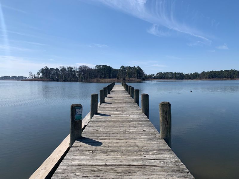 Pedals, Paddles, And Crab Lines