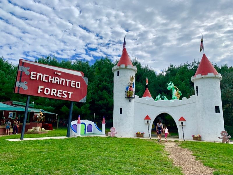 Pine Maze Hiding Storybook Surprises