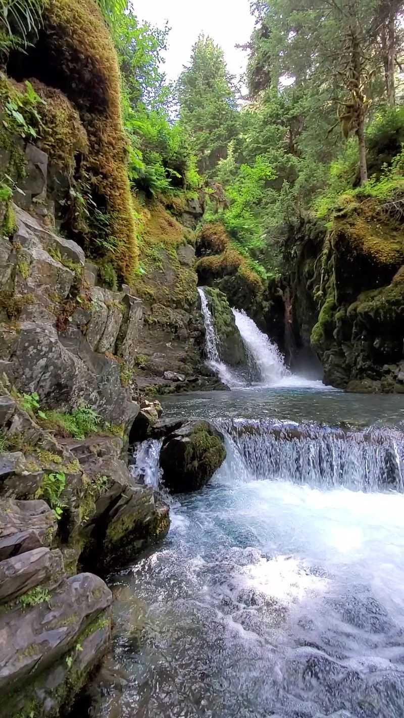 This Peaceful Alaska Mountain Town Feels Made For Slowing Down And Starting Fresh - Decor Hint Summer Trails Through The Rainforest