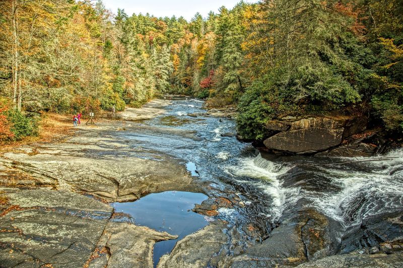Scenes With Katniss And Peeta Were Filmed Around DuPont State Recreational Forest