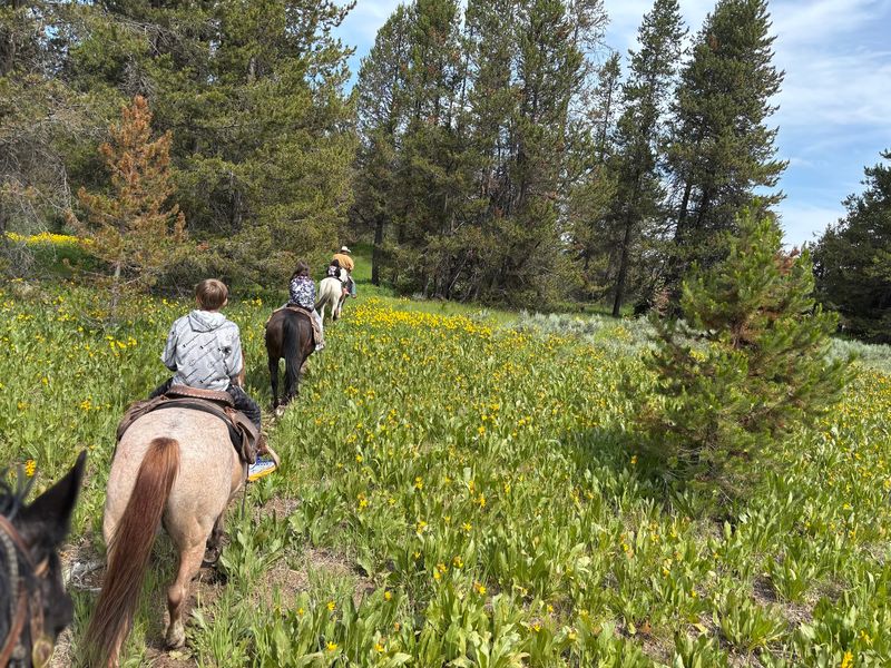Saddles For Every Size Rider