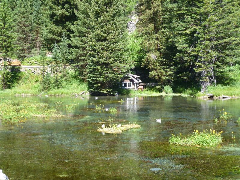 Johnny Sack's Handmade Cabin