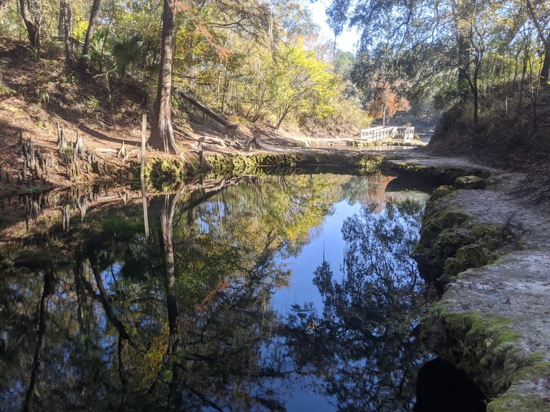 Eleven Florida State Parks Where the Swimming Holes Stay 11 Degrees All Year - Decor Hint Lafayette Blue Springs and Its Limestone Bridge