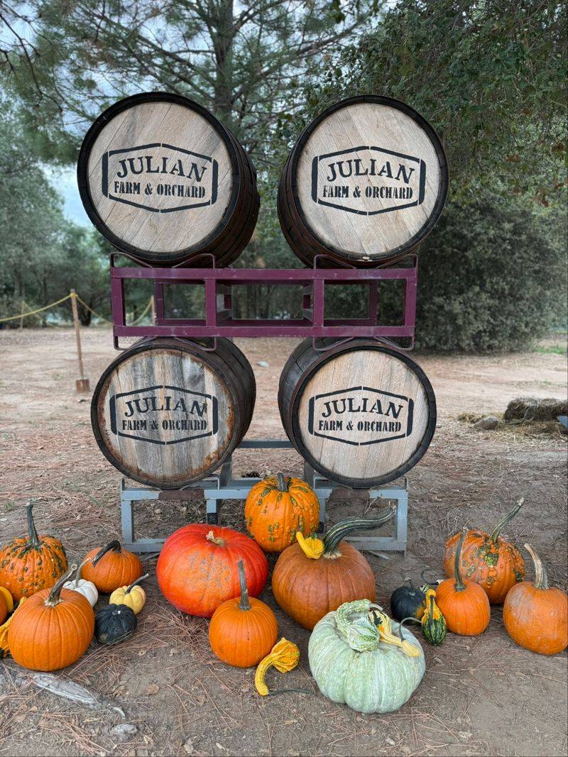 Pick Pumpkins During Harvest Season