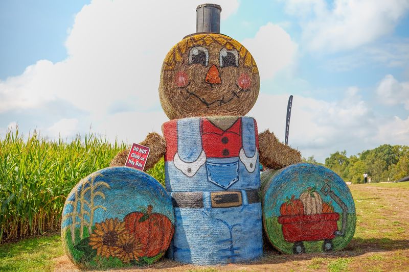 Climb Around The Giant Hay Bale Creations Made For Fall Photos