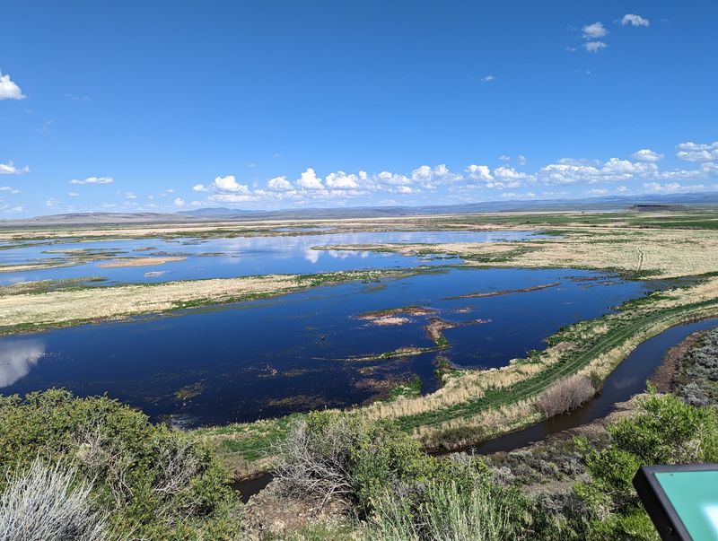 Malheur National Wildlife Refuge, Princeton