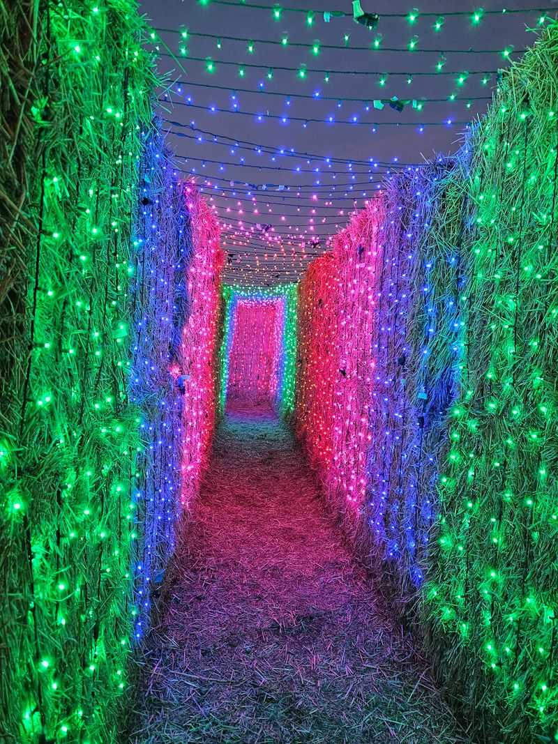 8 Idaho Mazes That Take Families At Least An Hour To Escape This October - Decor Hint Shindig Farms, Nampa, ID