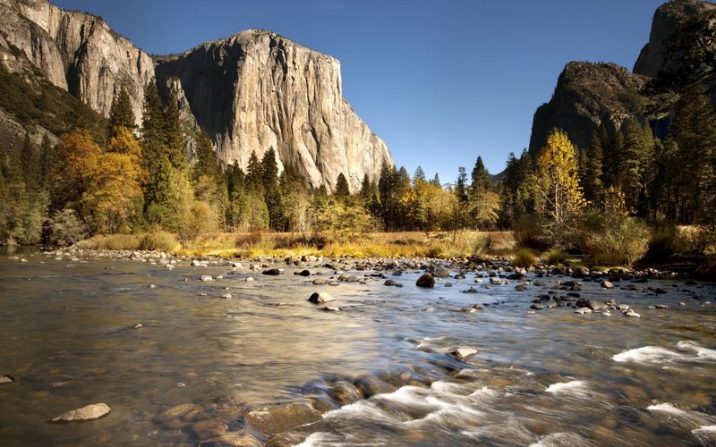 12 California Counties Seeing A Massive Spike In Black Bear Sightings This Fall - Decor Hint Mariposa County: Yosemite Valley's Determined Raiders