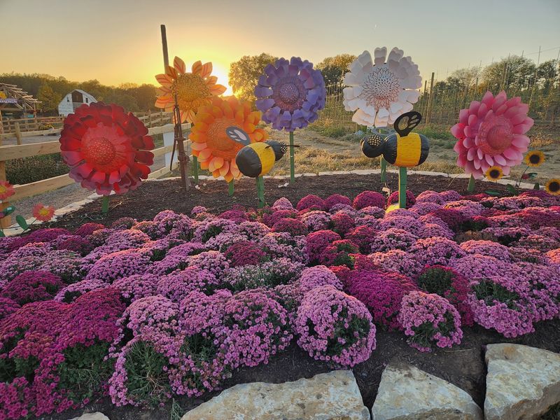 Fire Pits, Photo Spots, and the Look of the Place