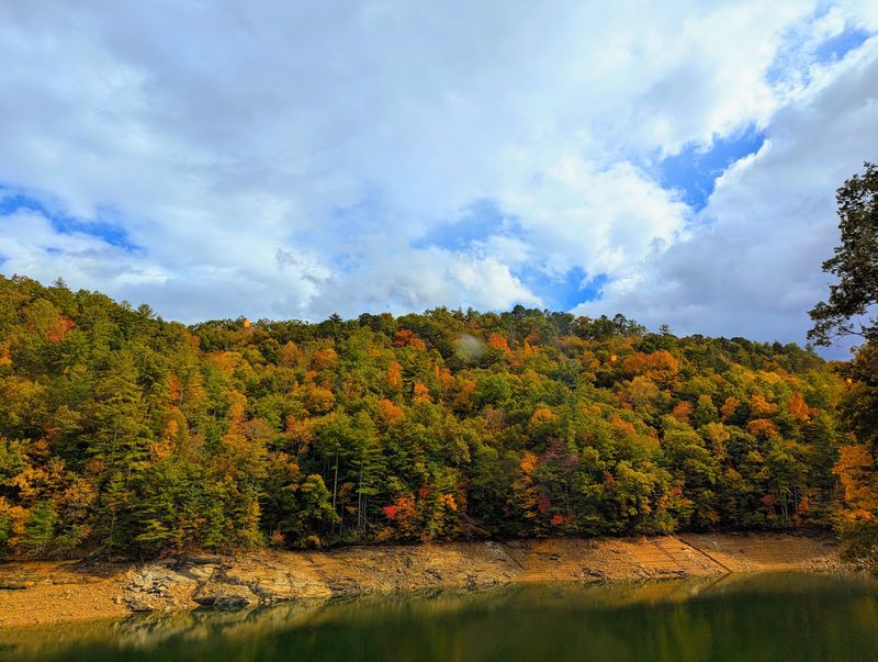 This 4.5-Hour North Carolina Train Ride Might Be The Most Unforgettable Way To See Fall - Decor Hint Know Which Seats And Departure Dates Work Best For Your Fall Trip