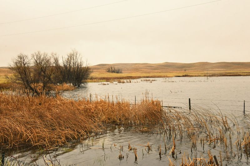 Fire, Grazing, and Keeping the Prairie Working