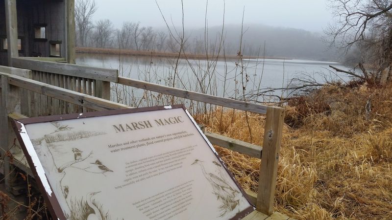 Nearly A Mile Of Boardwalk Through This Nebraska Forest Ends At A Marsh Lookout - Decor Hint The Learning Center the Flood Took