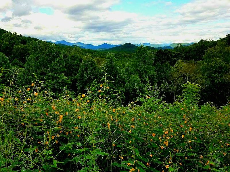 Seventy Percent Of The Land Stays Wild On Purpose
