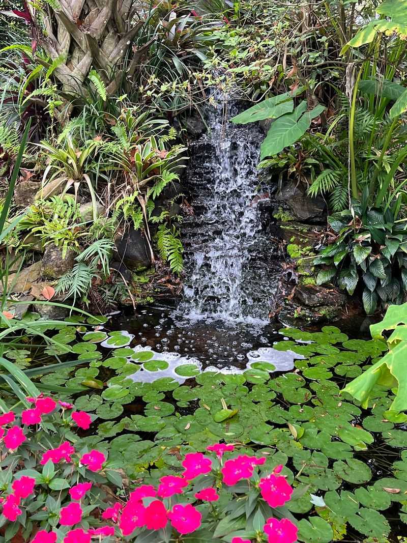 Waterfalls, Ponds, And A Soundtrack Of Moving Water
