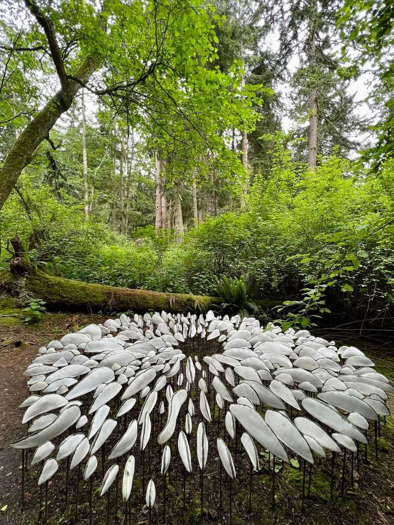 Nature Nurtured Welcomes Everyone
