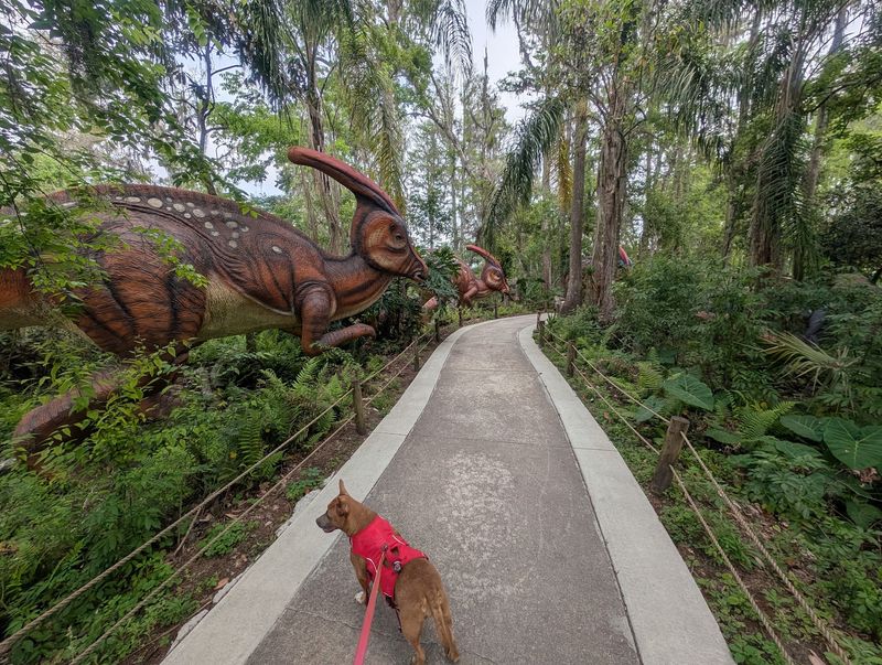 A Florida Outing Where the Dog Tags Along