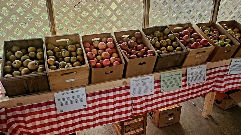 Each Variety Brings Its Own Flavor And Texture
