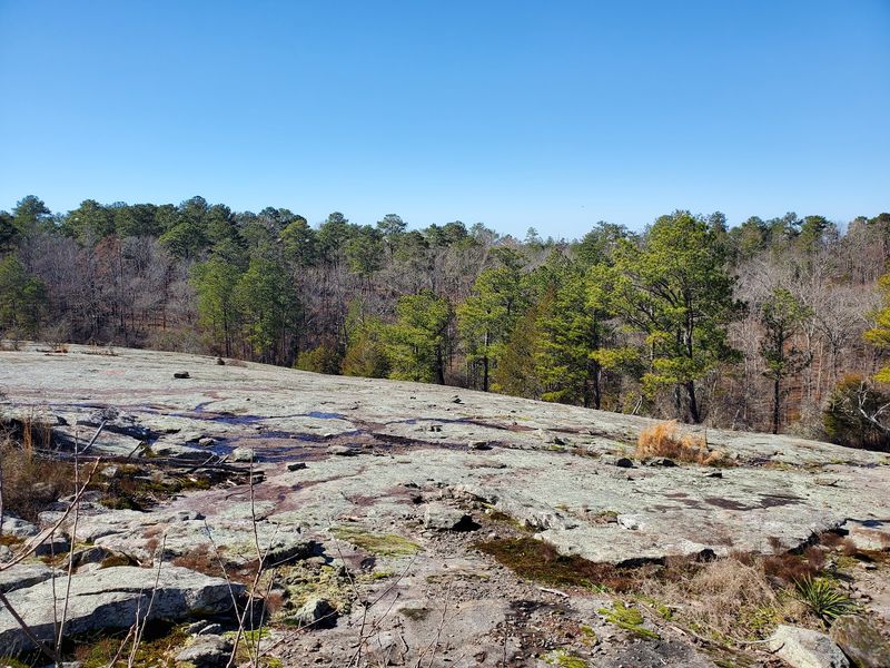 10 Georgia Hiking Trails Where Hikers Should Stay Snake-Aware - Decor Hint Fitness/Nature Trail, Panola Mountain State Park, Stockbridge