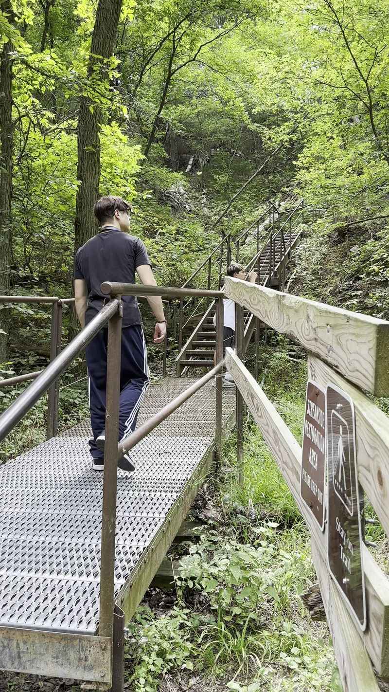Roughly 100 Steps Into the Canyon