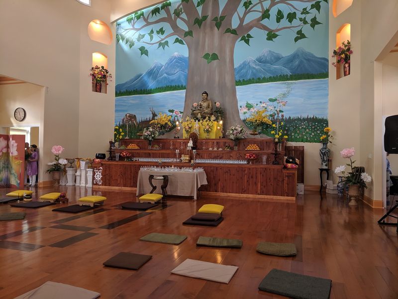 Meditation Classes Open To Absolute Beginners