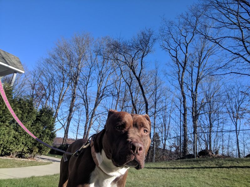 Everyday Work Behind Every Adoption