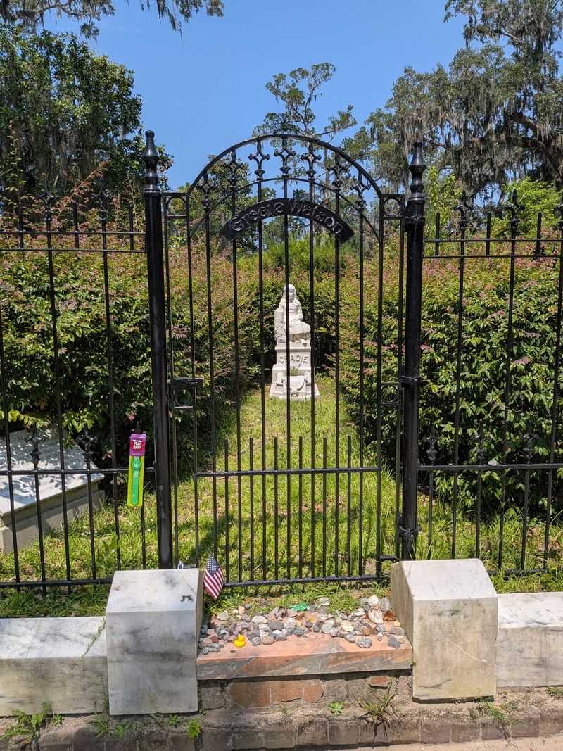Little Gracie Watson And Her Iron Fence