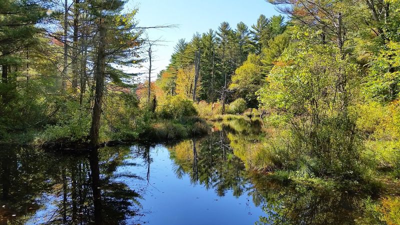 Arcadia Management Area Trails, Hope Valley