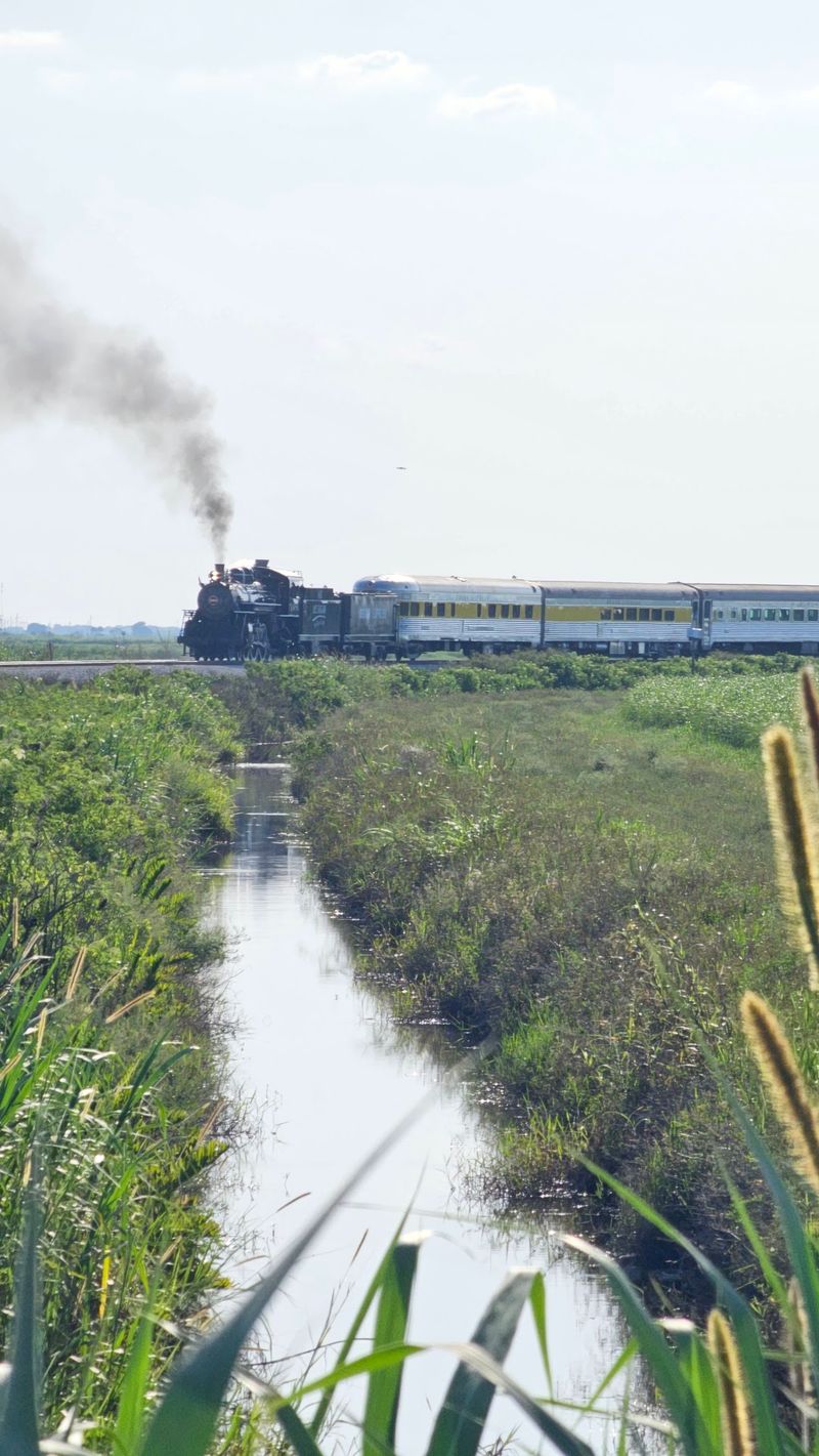 Florida's Sugarcane Country Still Hears A Vintage Steam Train Chugging Past Orange Groves On Weekends - Decor Hint Cane Fields, Citrus Rows, and the Odd Alligator