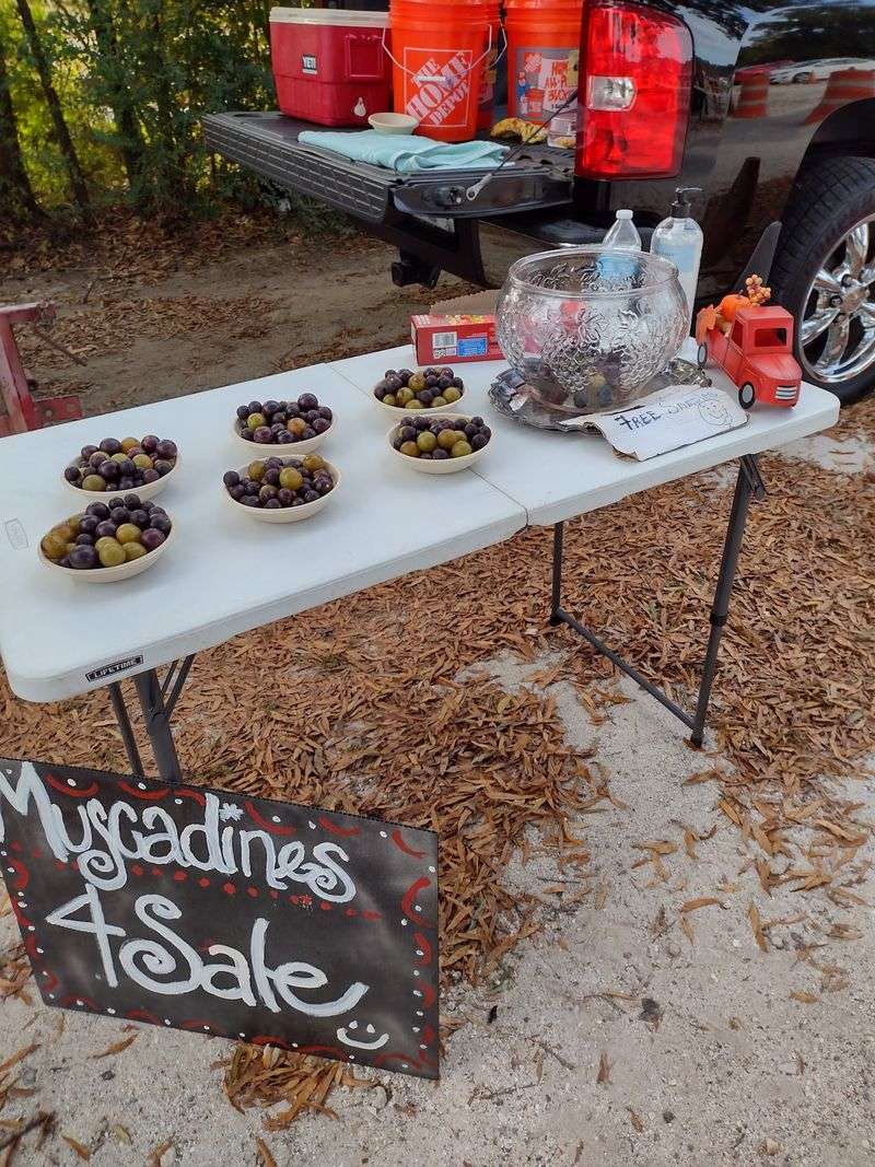 Homegrown Produce Worth The Drive
