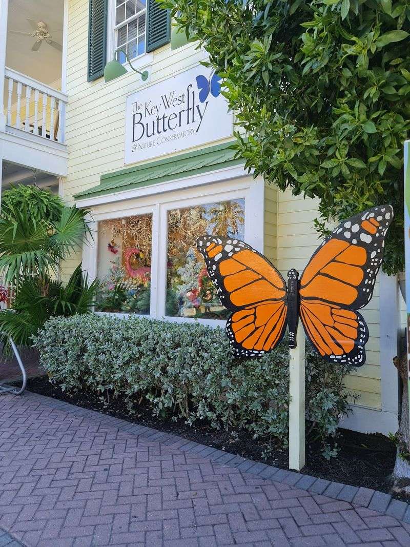 Key West Butterfly & Nature Conservatory, Key West