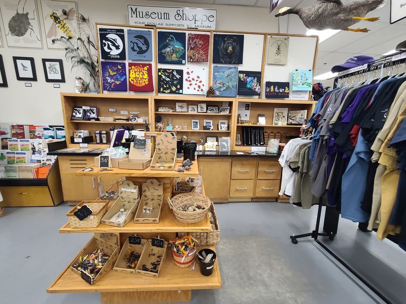 This Free Idaho Museum Is Packed With Fossils, Gemstones And Touch Zones Kids Never Forget - Decor Hint A Small Gift Shop Worth A Look