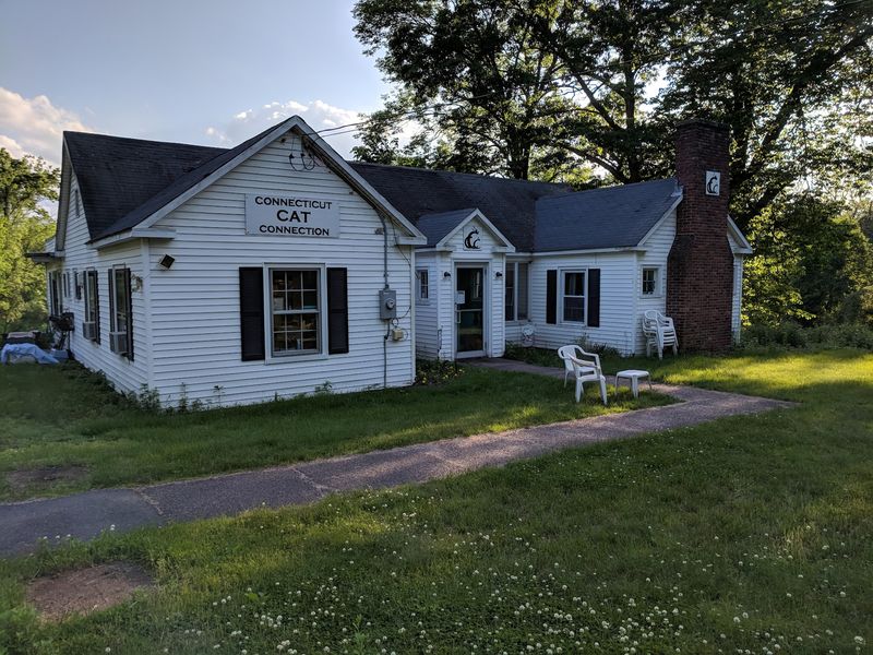 Poquonock Avenue Is Home To The Adoption Center