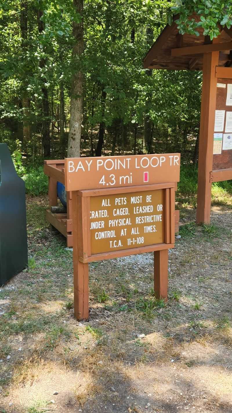 Starwalk Trail At Harrison Bay State Park, Harrison