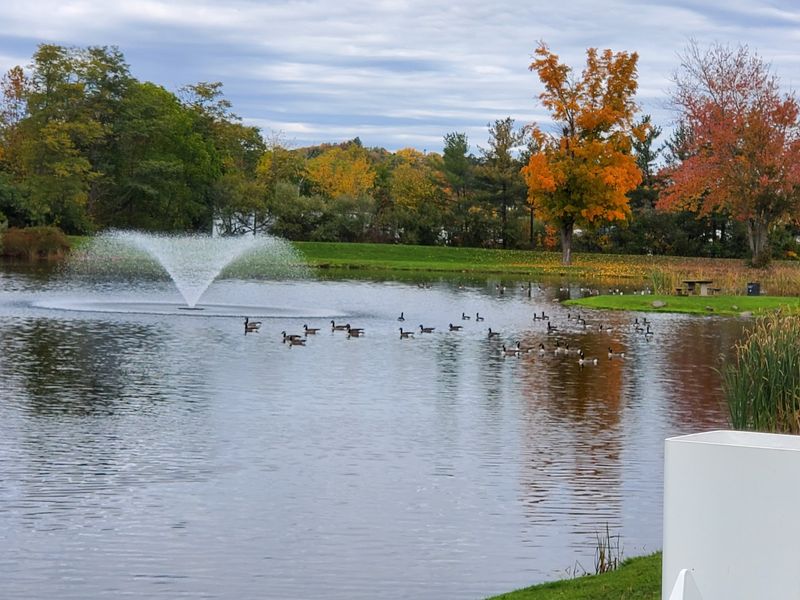 Fall Color Makes The Riverfront Even Better