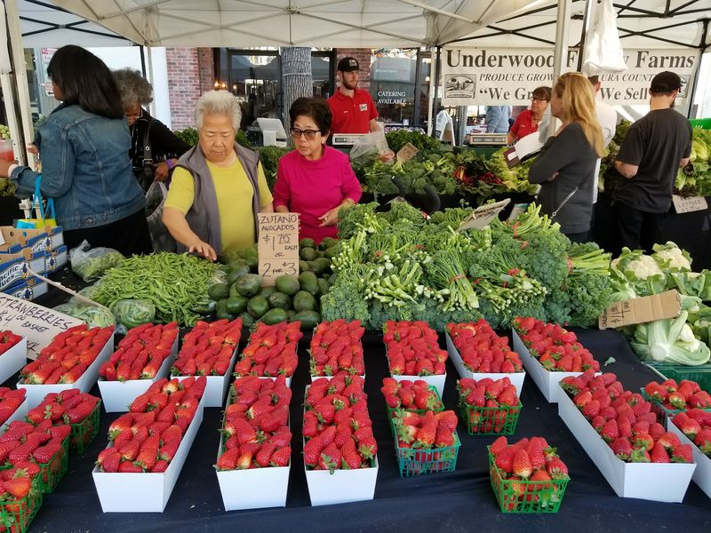 Festival Food Booths, Farm Markets, And Snack Carts