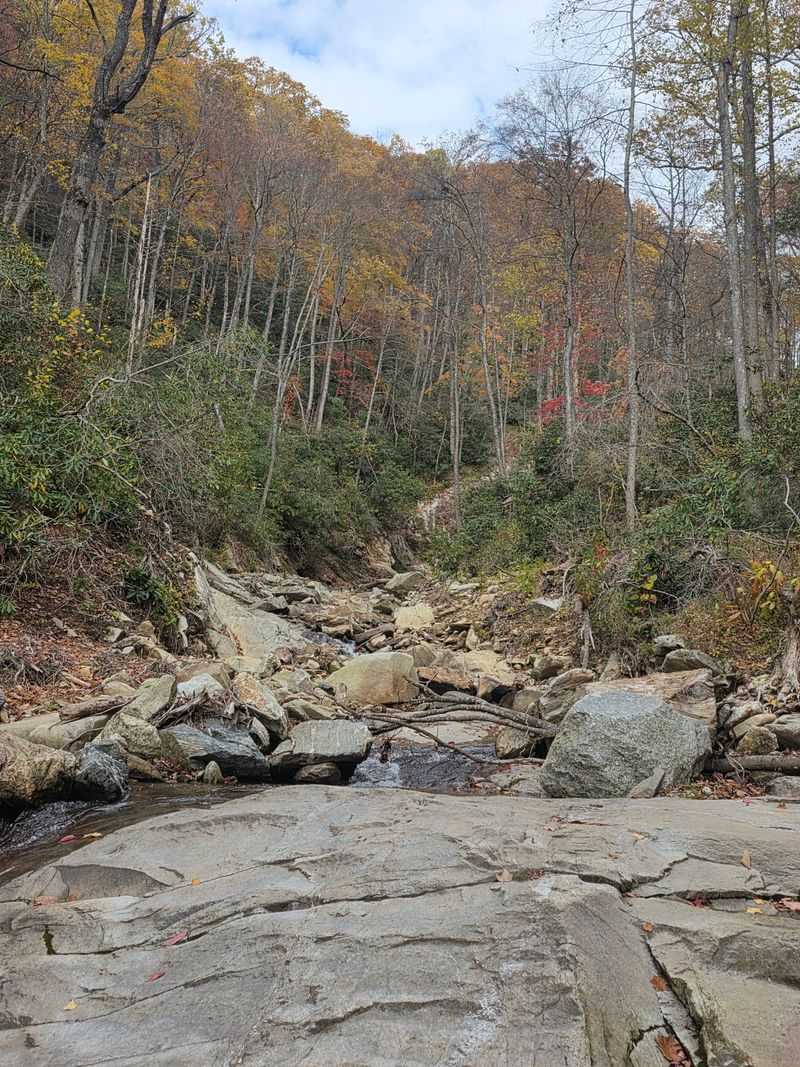 Follow Nearby Trails Into Some Of The High Country’s Best Fall Scenery