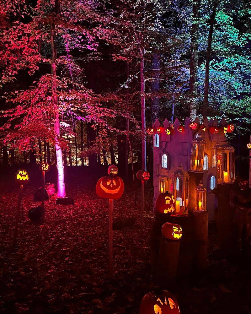 A Glowing Forest Waiting Behind The Amphitheater