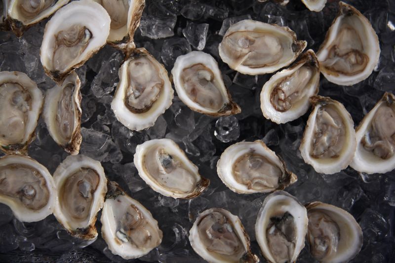 Sample Oyster Dishes From Vendors Across The Festival Grounds
