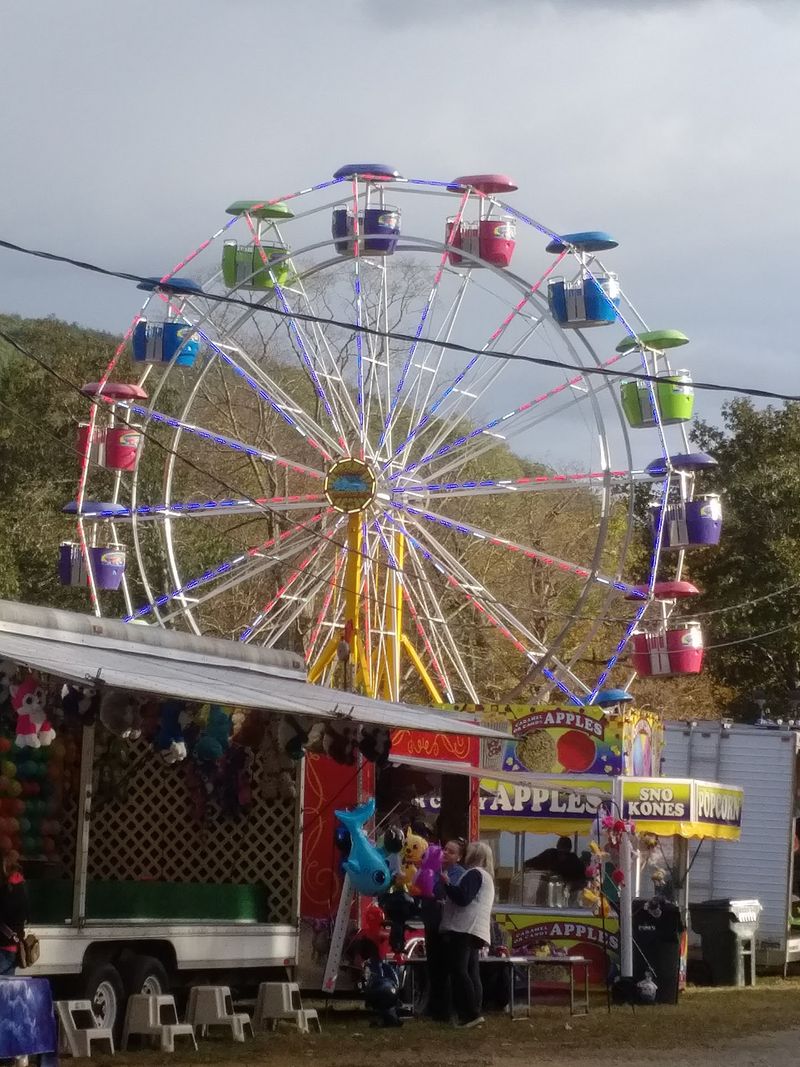 Old-Fashioned Fair Traditions Take Over The Village