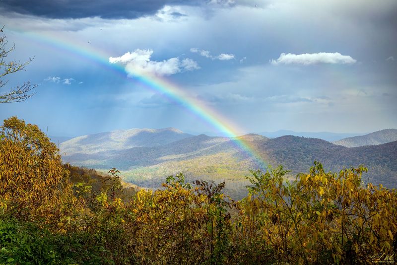 Thousands Of Monarch Butterflies Are Passing Through North Carolina’s Mountains This Fall - Decor Hint Bring Binoculars For A Better Look At Travelers Passing High Overhead