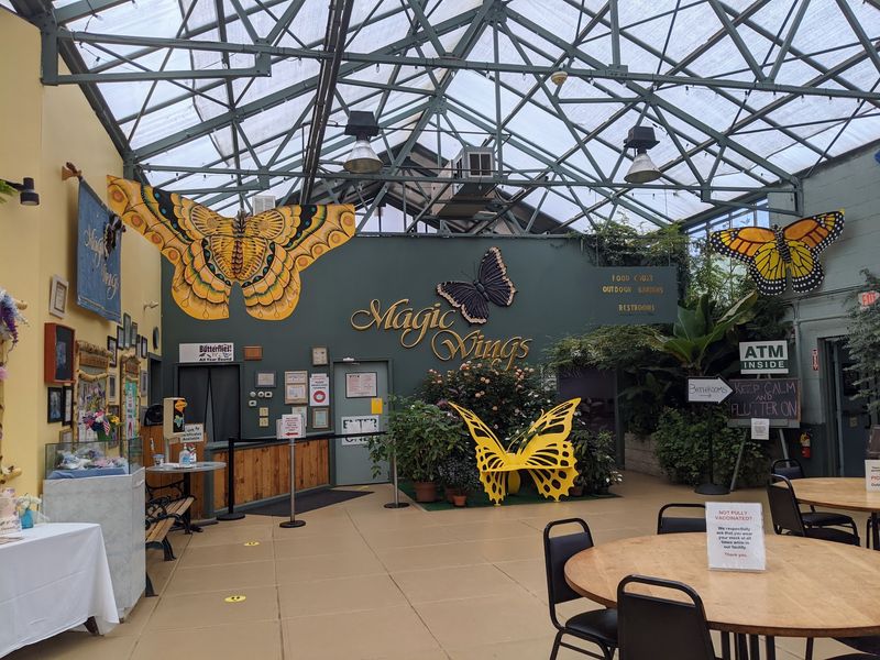 From Restaurant To Butterfly Haven