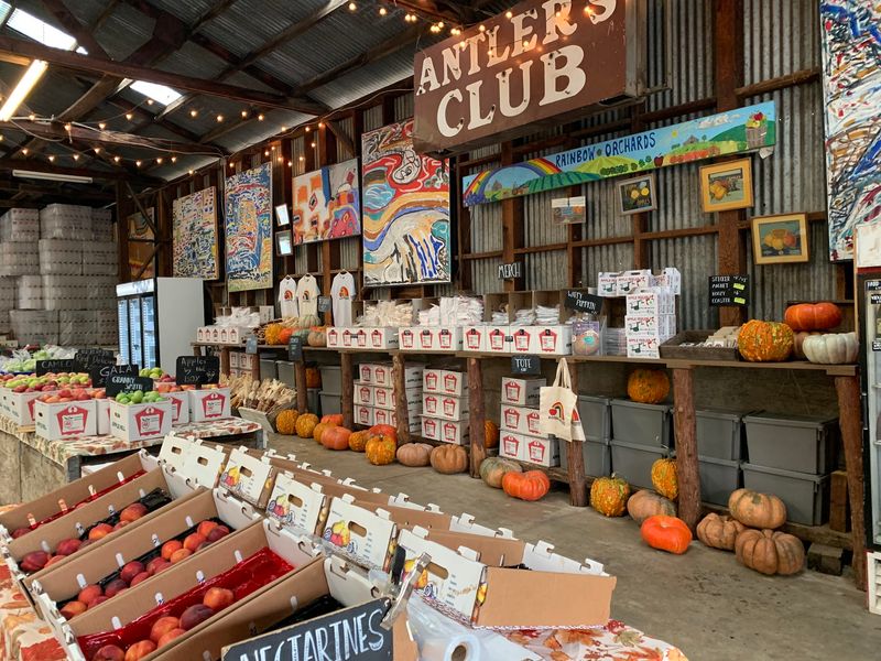 Rainbow Orchards, Camino: The Hot Donut Favorite