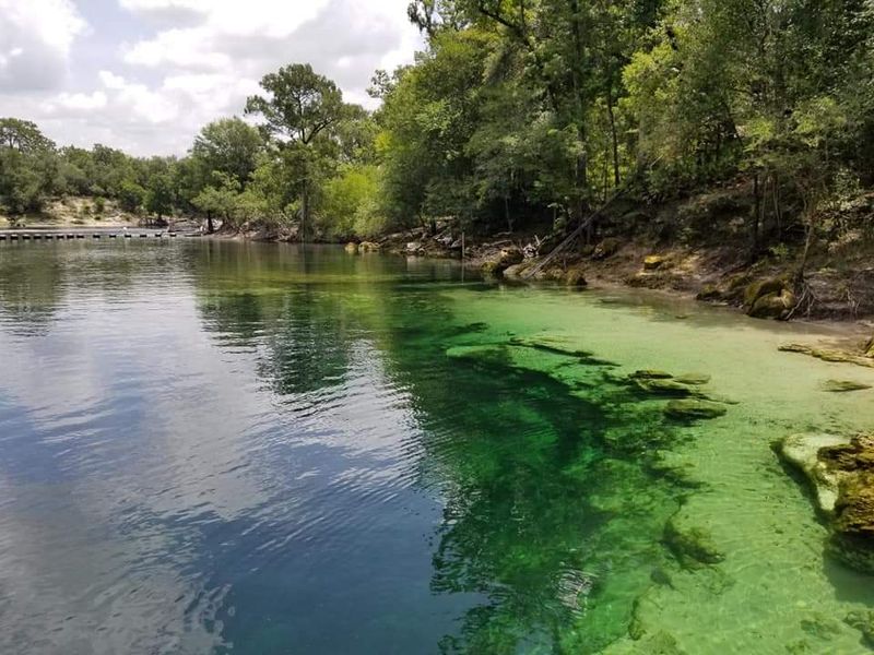Eleven Florida State Parks Where the Swimming Holes Stay 11 Degrees All Year - Decor Hint Troy Springs State Park