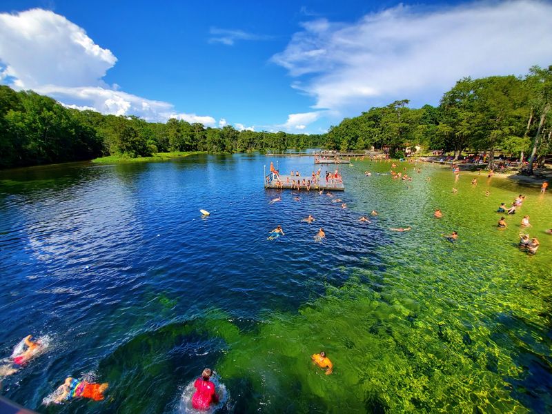 Eleven Florida State Parks Where the Swimming Holes Stay 11 Degrees All Year - Decor Hint Edward Ball Wakulla Springs State Park