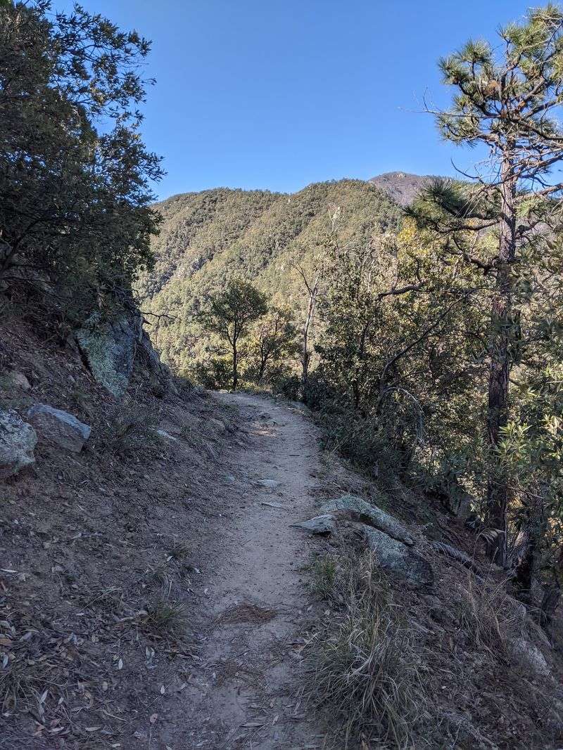 Mount Wrightson Super Trail, Green Valley